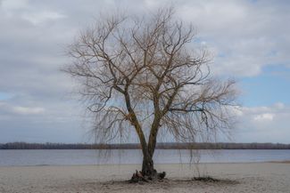 A beach on Monastyrskyi Island