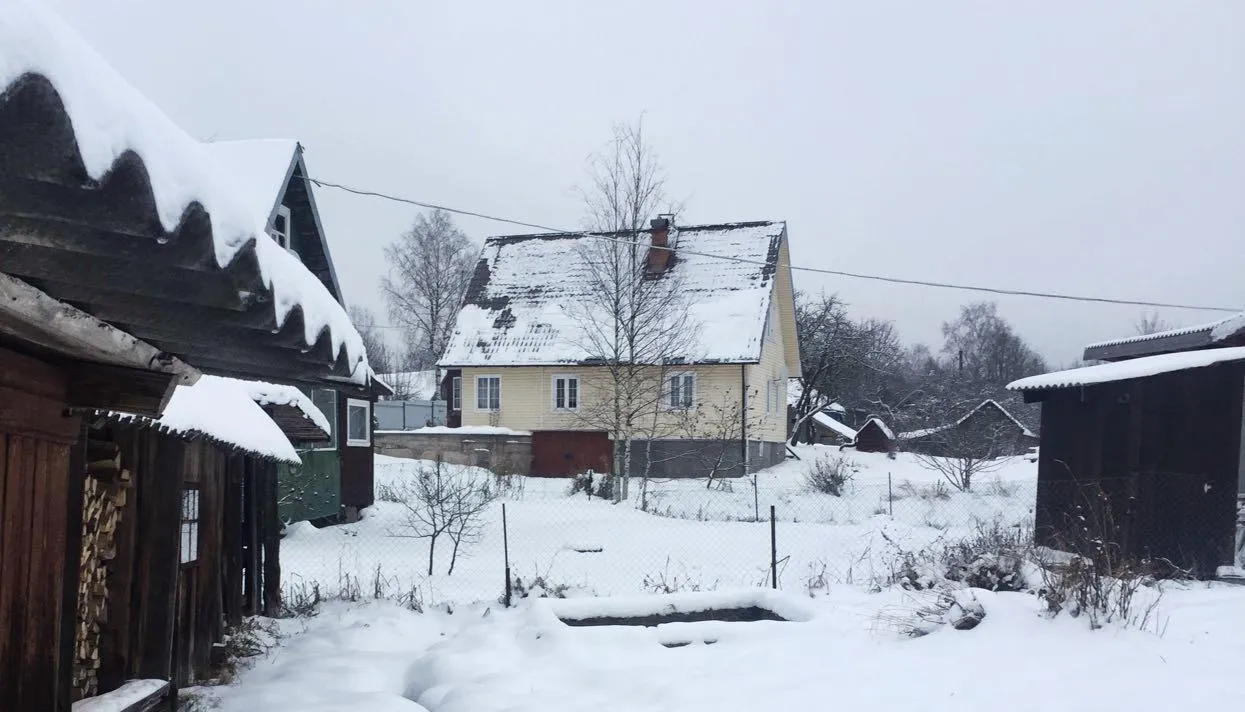 Фото: Даниил Туровский / «Медуза»