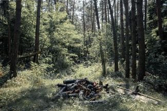 Собранные саперами снаряды в лесу Черниговской области. Саперы собирают и носят их на руках, притом что весить снаряд может около сорока килограммов. Ты все время должен быть внимательным — но это еще и физически тяжелая работа