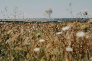 Дым возле Нью-Йорка — поселка городского типа в Донецкой области. До войны в поселке жили почти десять тысяч человек, сейчас здесь осталось около тысячи жителей. Город находится меньше чем в километре от линии фронта под постоянным обстрелом российских войск