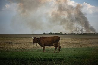 Черный дым поднимается над линией фронта в Николаевской области. 29 августа ВСУ объявили, что начали контрнаступление на юге Украины