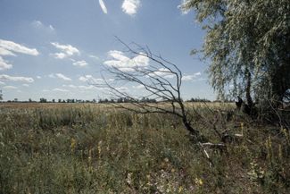 Заминированное поле вдоль дороги на Бучу. После отхода российских войск на поля выехали украинские трактористы. В прессе <a href="https://kyiv.tsn.ua/ru/v-kievskoy-oblasti-traktorist-vzorvalsya-na-mini-okkupantov-2064250.html" rel="noopener noreferrer" target="_blank">постоянно</a> <a href="https://www.pravda.com.ua/rus/news/2022/05/19/7347235/" rel="noopener noreferrer" target="_blank">писали</a> о <a href="https://donpatriot.news/ru/article/pid-harkovom-traktorist-zaginuv-pidirvavshis-na-mini" rel="noopener noreferrer" target="_blank">подрывах</a> тракторов на минах