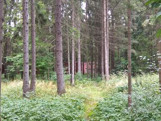 The path between the Rushichi guesthouse’s backgate and Patriarch Kirill’s nearby residence.