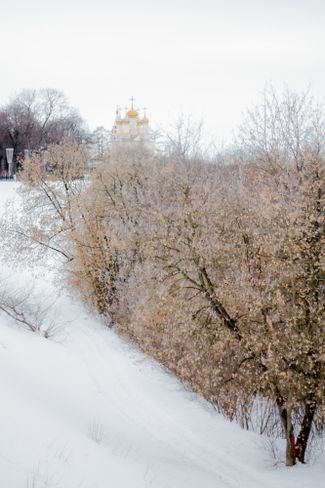 Преображенская церковь Спаса-на-Яру, Рязань