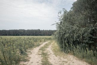 Дорога на Чернигов. Нужно обращать внимание на столбики с красными отметками: это предупреждение о минах