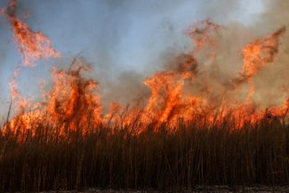 Горящая трава на заминированном поле возле села Граково