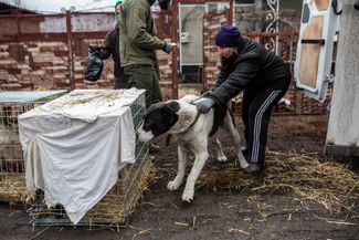 Лилия и собака Кефал