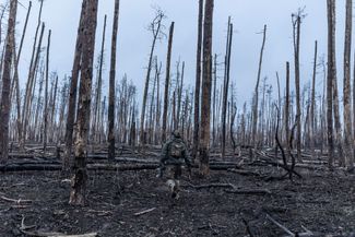 Военный идет через лес к своей пехотной позиции в направлении Кременной