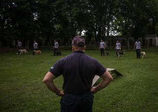 Prisoners in Serbia walk dogs in a prison yard.